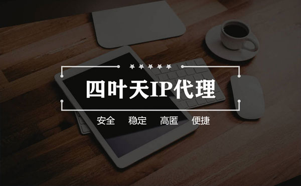 【青海代理IP】如何快速搭建代理IP？怎么检查代理的效果？